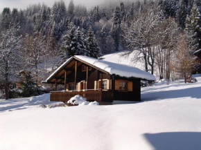 Chalet 3* cosy aux Gets, Wi-Fi, 450m télécabine, 2 chambres, parking privé, balcon sud/est - FR-1-671-40 Les Gets